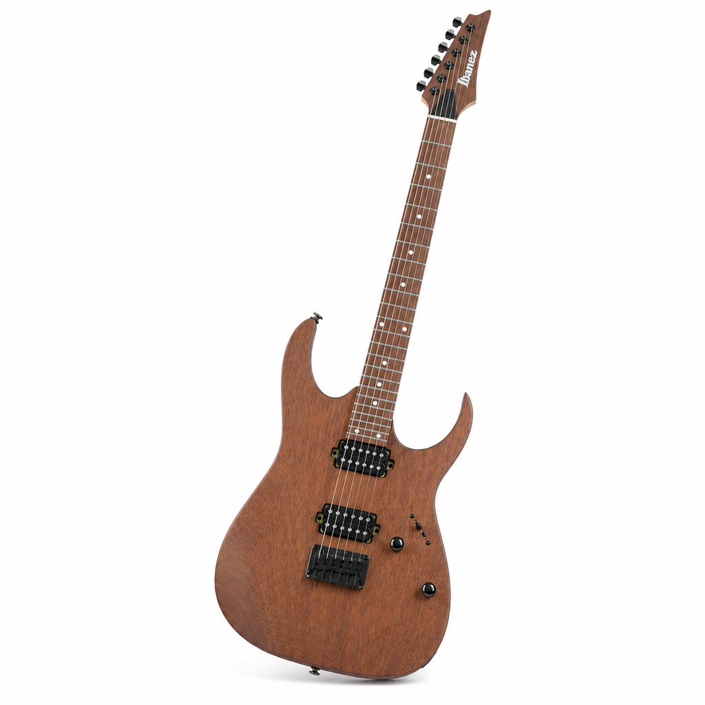 Ibanez RG421 일렉기타
