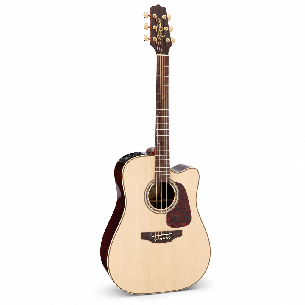 Takamine Pro Series P5DC